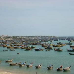 Meet your Posher, Troy